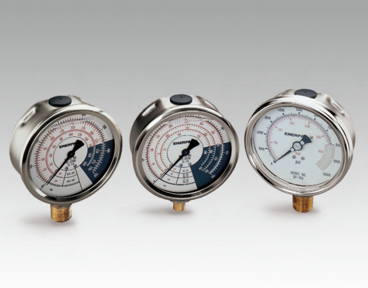恩派克GF\GP-系列壓力表